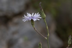 1_MG_0047