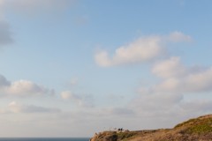 MG_0009-2