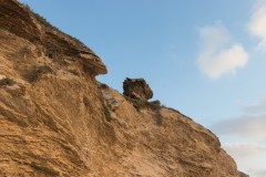 MG_0021