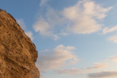MG_0022