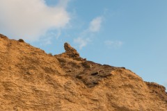 MG_0025