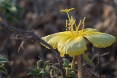 6D_MG_0007-2
