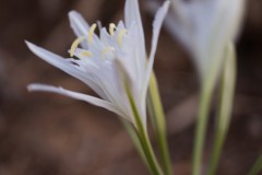 6D_MG_0022