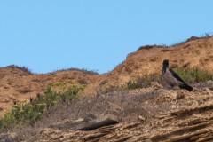 MG_0027-2