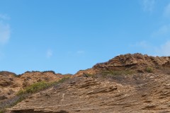 MG_0027