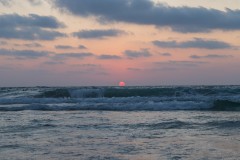 6D_MG_0012