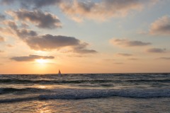 MG_0028-2