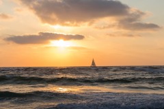 MG_0028-3