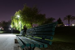 MG_0007-2