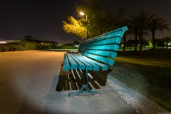 MG_0010