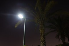MG_0019