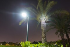 MG_0020