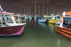 MG_0017