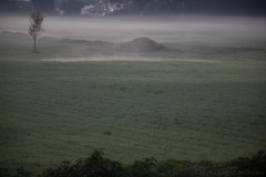 1_MG_0002