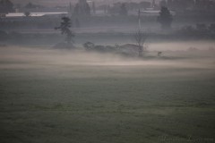 1_MG_0005