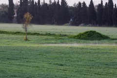 1_MG_0025