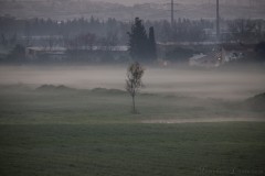 2_MG_0004