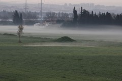2_MG_0010