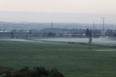 2_MG_0011