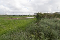 1_MG_0005
