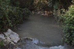 MG_0010-2