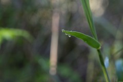 MG_0023