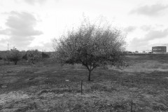 MG_0021-2