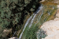 08-Eyn-Gedi-Dead-Sea