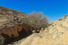 03-Dimona-Siclina