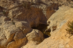 04-Dimona-Siclina
