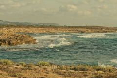 02-Dor-Habonin-Cost-Line-07082026