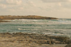04-Dor-Habonin-Cost-Line-07082026