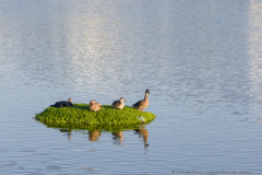 01-Ecological-Park-Hod-Hasharon