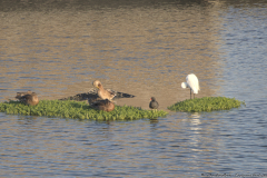 02-Ecological-Park-Hod-Hasharon