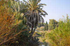 02-Ein-Afek-Nature-Reserve