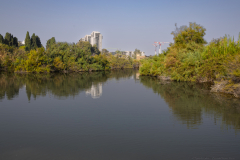 04-Ein-Afek-Nature-Reserve