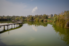 05-Ein-Afek-Nature-Reserve