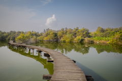 06-Ein-Afek-Nature-Reserve