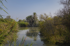 07-Ein-Afek-Nature-Reserve