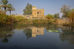 08-Ein-Afek-Nature-Reserve