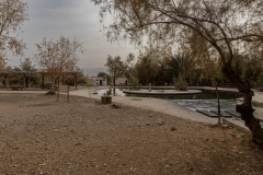 01-Ein-Feshkha-Feb-2026