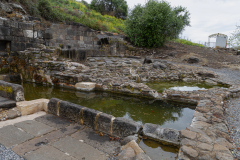 05-Golan-Hights-Round-Trip-March-2025