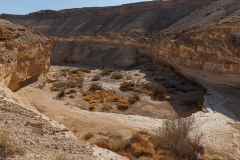 01-Ein-Yarkam