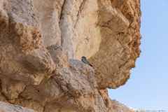 07-Ein-Yarkam