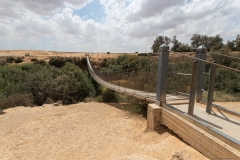 02-הגשר-התלוי-עין-הבשור