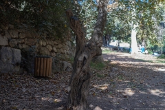 01-Eyn-Hemed