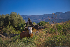 03-Eyn-Pit-and-Hasbani-River