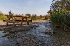 01-Eynot-Tzukim