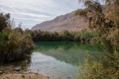 05-Eynot-Tzukim