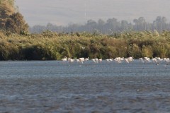 Agmon-Hula-14102019_0058
